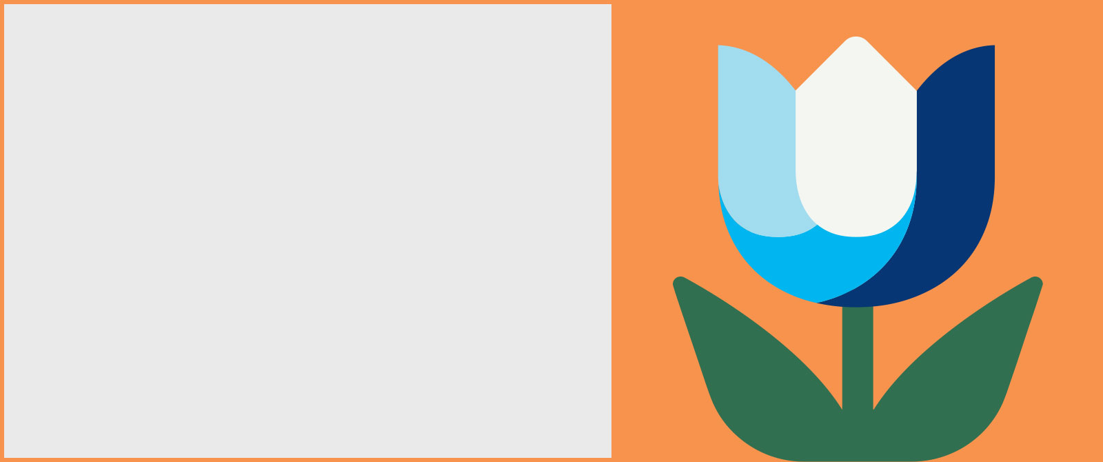 Tulip