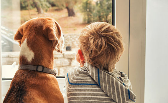 Boy and dog look out glass door