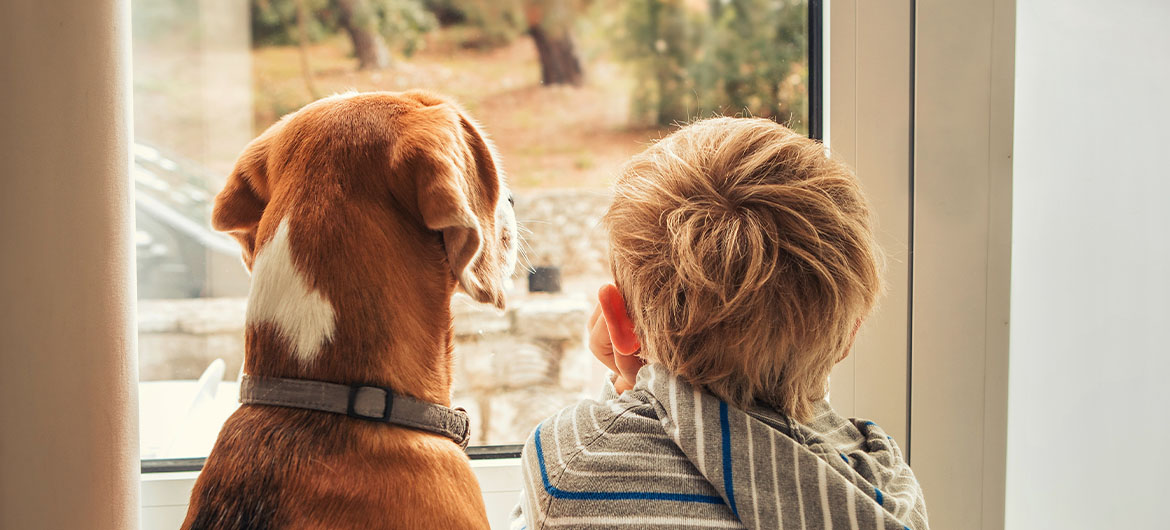 Kid and dog sit and look out a glass door